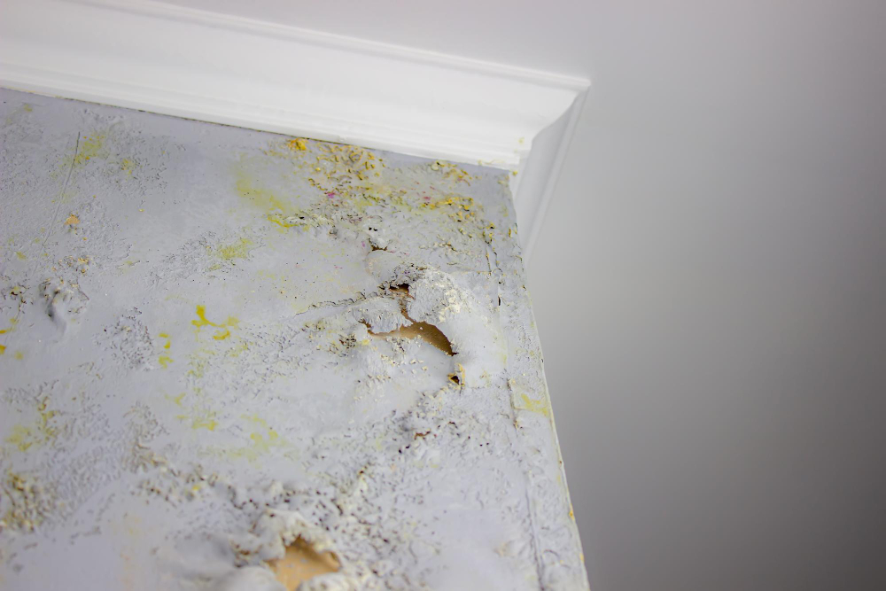  Mold Growth and Foundation Cracks